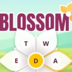 Blossom
